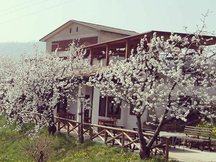 فيلا ماروستيكافي Agriturismo Al Ciliegio المظهر الخارجي الصورة